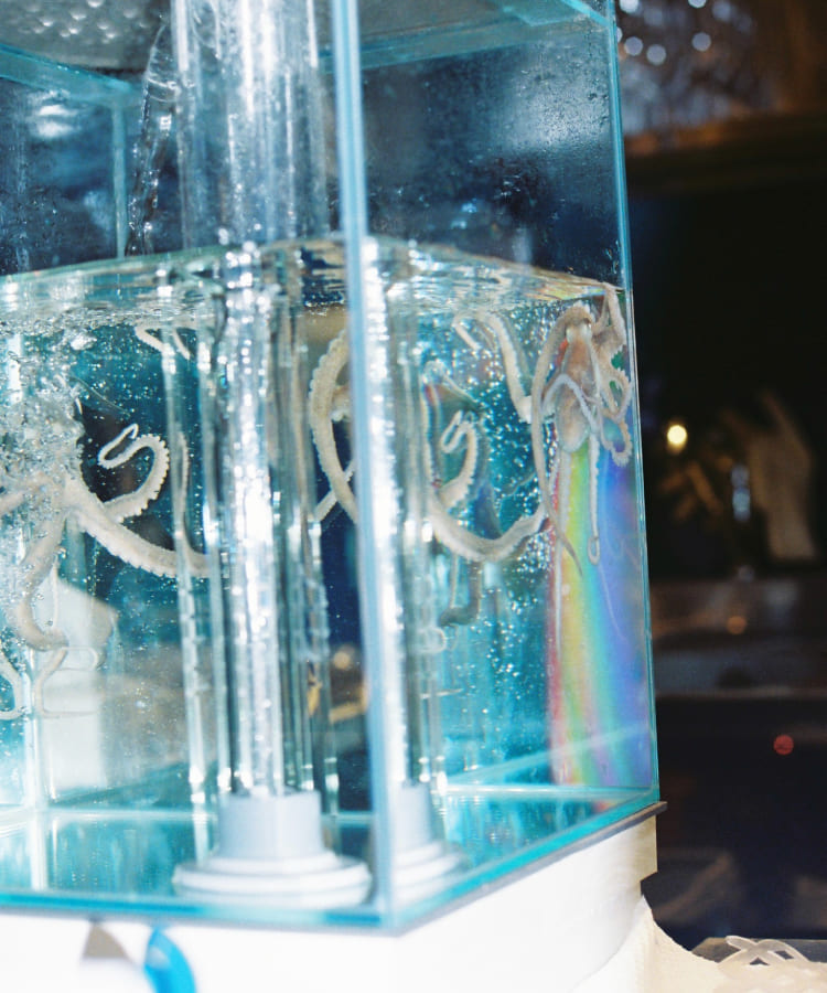 ホルモン船 ホールちゃん